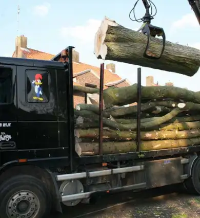 images/bomen rooien/boom boxtel/www.avanspeldehoveniers.nl1-390x424-737