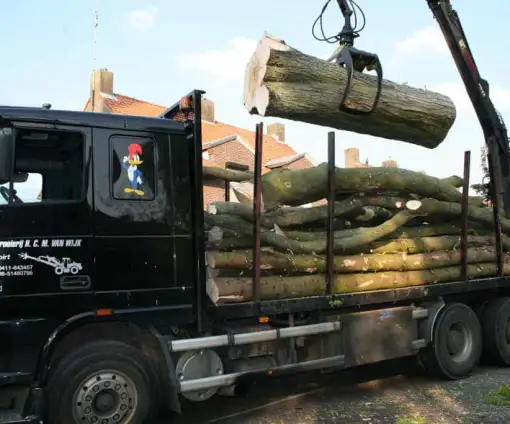 images/bomen rooien/boom boxtel/www.avanspeldehoveniers.nl1-510x424-9ef