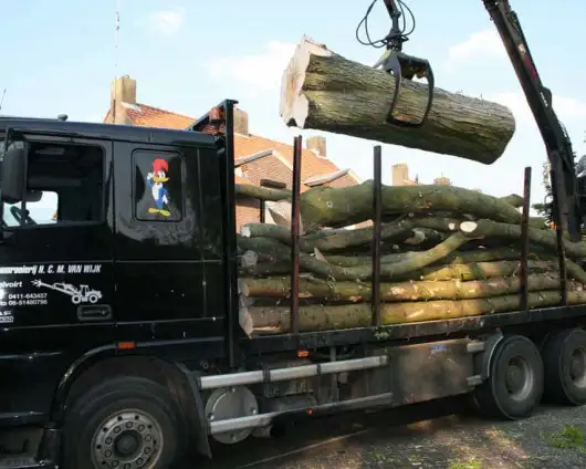 images/bomen rooien/boom boxtel/www.avanspeldehoveniers.nl1-530x424-63a
