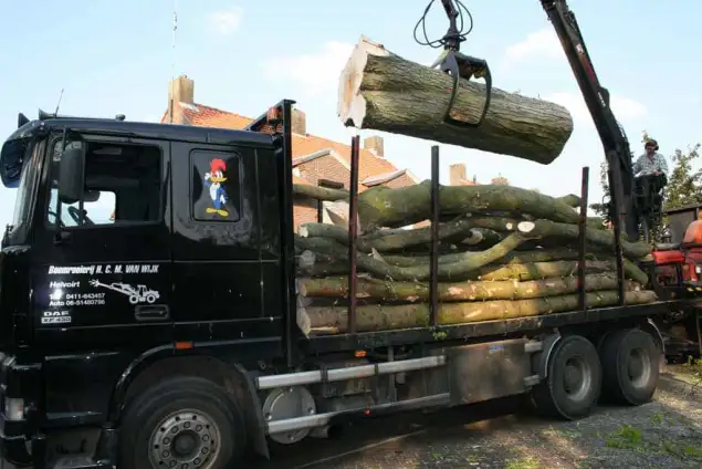 images/bomen rooien/boom boxtel/www.avanspeldehoveniers.nl1-635x424-18c