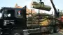 images/bomen rooien/boom boxtel/www.avanspeldehoveniers.nl1-90x51-f76