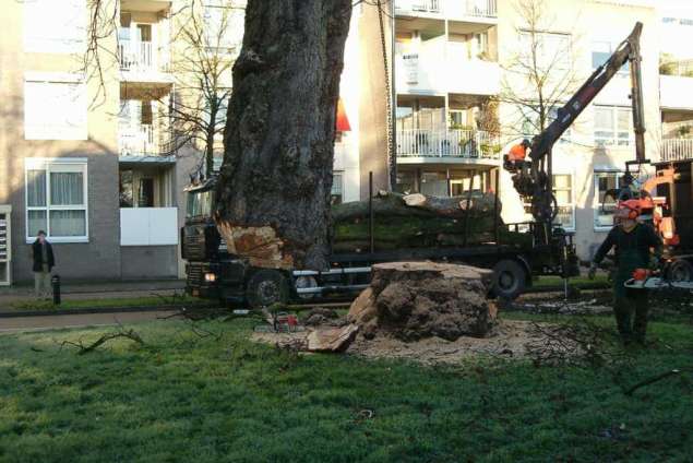 images/bomen rooien/boom rooien 2/HPIM0562-635x424-9d1