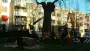 images/bomen rooien/boom rooien 2/HPIM0563-90x51-b58