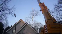 images/bomen rooien/linde boom snoeien in oss liemde veghel boxtel-210x118-57f