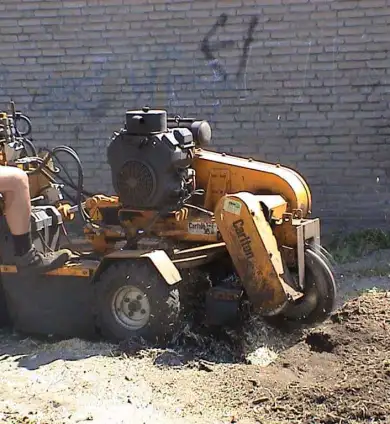 images/bomen rooien/stronken uitvrezen met een stobbefrees boxtel liempde oisterwijk loon op zand waalwijk raamsdonkveer-390x424-f25