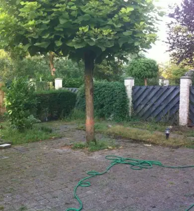 images/dejong/1-390x424-dd1