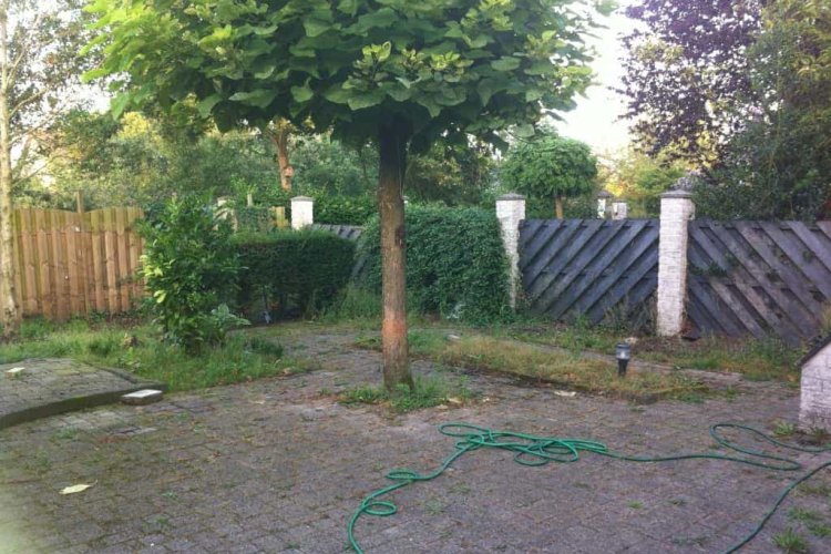 images/dejong/1-750x500-4f6