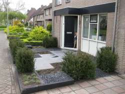 aanleg voortuin in dongen houtsniphof, met taxus basalt split betonbanden 5*15*15 en 6*30*100 tuinontwerp hovenier de moer