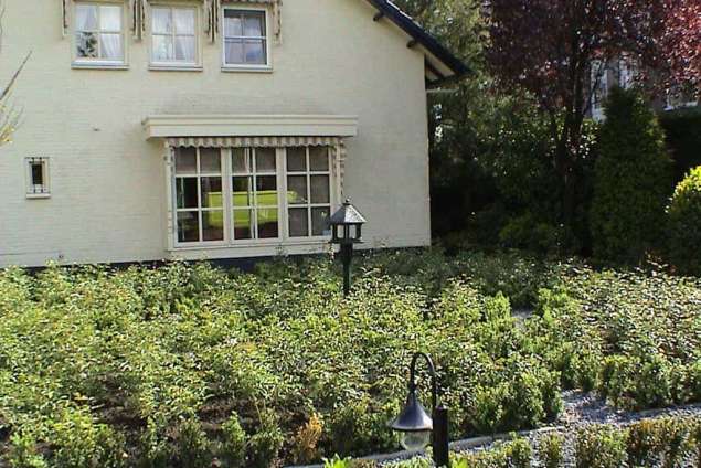 images/dorp tuin/DSC00096-635x424-474