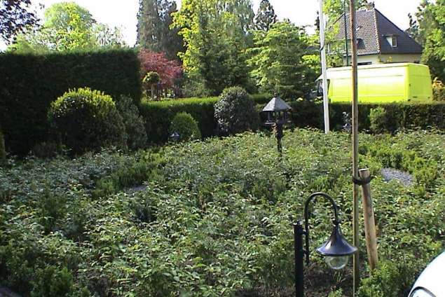 images/dorp tuin/DSC00097-635x424-474
