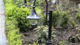 images/dorp tuin/DSC00112-160x90-ac6