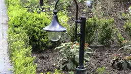 images/dorp tuin/DSC00112-257x145-539