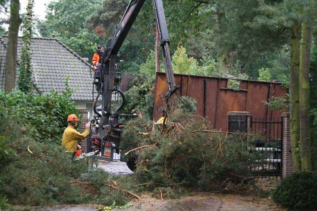 rooien dennen bomen bij villa in Vught met telescoopkraan afvoeren van takken dikhout en groenafval