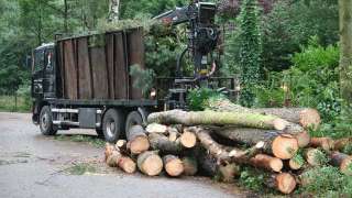 opknijpen groenafval en versnipperen takken met versnipperaar, afvoeren voor dikhout of kachel hout in blokken 30