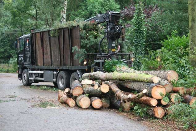 opknijpen groenafval en versnipperen takken met versnipperaar, afvoeren voor dikhout of kachel hout in blokken 30