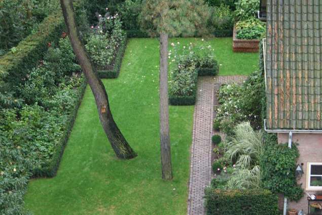 bomen rooien Hardenberg