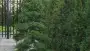 images/f/Afbeelding 269-90x51-578
