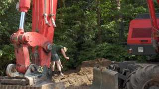 bomen velen 