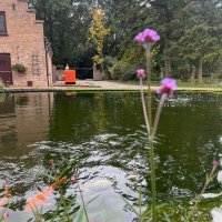 images/jaap-dool/tuin-aanleggen-met-zwemijver-en-koivijver-gebakken-straatwerk-hovenier-1-200x200-624