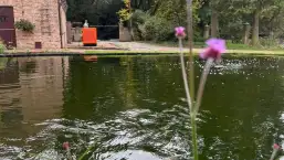 images/jaap-dool/tuin-aanleggen-met-zwemijver-en-koivijver-gebakken-straatwerk-hovenier-1-257x145-f8b