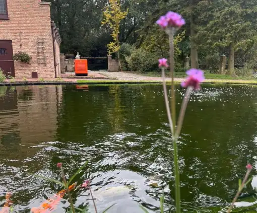 images/jaap-dool/tuin-aanleggen-met-zwemijver-en-koivijver-gebakken-straatwerk-hovenier-1-510x424-f0c