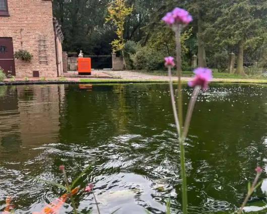 images/jaap-dool/tuin-aanleggen-met-zwemijver-en-koivijver-gebakken-straatwerk-hovenier-1-530x424-810