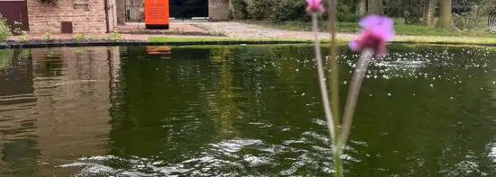 images/jaap-dool/tuin-aanleggen-met-zwemijver-en-koivijver-gebakken-straatwerk-hovenier-1-550x197-be7