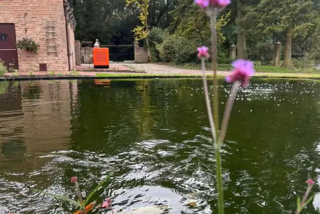 images/jaap-dool/tuin-aanleggen-met-zwemijver-en-koivijver-gebakken-straatwerk-hovenier-1-635x424-52a