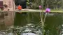 images/jaap-dool/tuin-aanleggen-met-zwemijver-en-koivijver-gebakken-straatwerk-hovenier-1-90x51-ac2