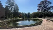 images/jaap-dool/tuin-aanleggen-met-zwemijver-en-koivijver-gebakken-straatwerk-hovenier-10-210x119-fd8