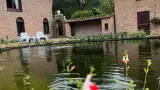 images/jaap-dool/tuin-aanleggen-met-zwemijver-en-koivijver-gebakken-straatwerk-hovenier-160x90-97f