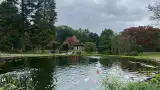 images/jaap-dool/tuin-aanleggen-met-zwemijver-en-koivijver-gebakken-straatwerk-hovenier-2-160x90-edc