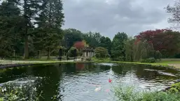 images/jaap-dool/tuin-aanleggen-met-zwemijver-en-koivijver-gebakken-straatwerk-hovenier-2-257x145-439