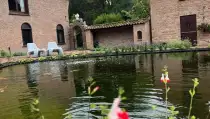 images/jaap-dool/tuin-aanleggen-met-zwemijver-en-koivijver-gebakken-straatwerk-hovenier-210x119-11c