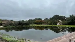 images/jaap-dool/tuin-aanleggen-met-zwemijver-en-koivijver-gebakken-straatwerk-hovenier-3-257x145-155