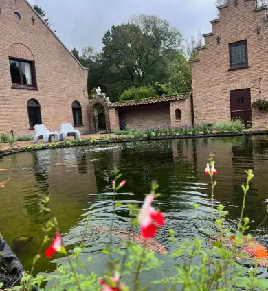images/jaap-dool/tuin-aanleggen-met-zwemijver-en-koivijver-gebakken-straatwerk-hovenier-390x424-b0b