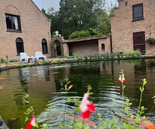 images/jaap-dool/tuin-aanleggen-met-zwemijver-en-koivijver-gebakken-straatwerk-hovenier-510x424-d03
