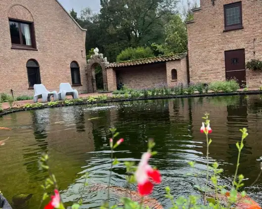 images/jaap-dool/tuin-aanleggen-met-zwemijver-en-koivijver-gebakken-straatwerk-hovenier-530x424-ac6