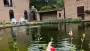 images/jaap-dool/tuin-aanleggen-met-zwemijver-en-koivijver-gebakken-straatwerk-hovenier-90x51-90b