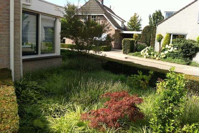 kleine voortuin met carex acer en taxus, tuin laten aanleggen door een hovenier wat kost dat?