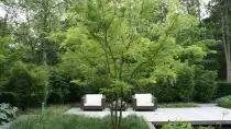 images/malherbe/moderne beplanting in een strakke tuin in vught-210x118-4a0