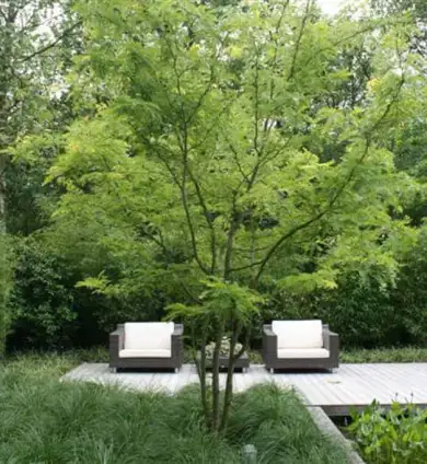 images/malherbe/moderne beplanting in een strakke tuin in vught-390x424-f30