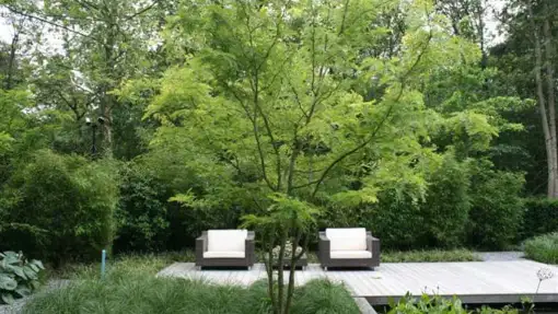 images/malherbe/moderne beplanting in een strakke tuin in vught-510x287-6f5