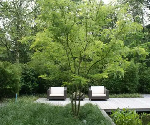 images/malherbe/moderne beplanting in een strakke tuin in vught-510x424-11d