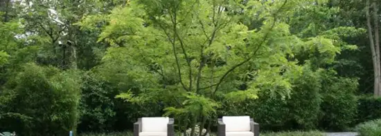 images/malherbe/moderne beplanting in een strakke tuin in vught-550x197-578