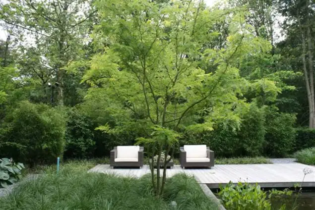 images/malherbe/moderne beplanting in een strakke tuin in vught-635x424-283