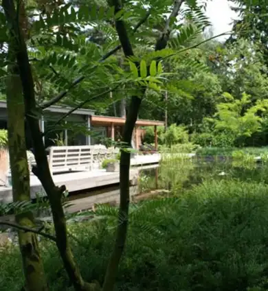 images/malherbe/moderne beplanting taxus en meerstammige struiken in vught-390x424-d4c