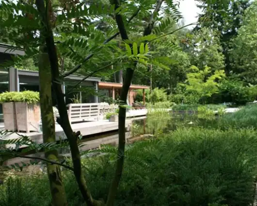images/malherbe/moderne beplanting taxus en meerstammige struiken in vught-530x424-f0c