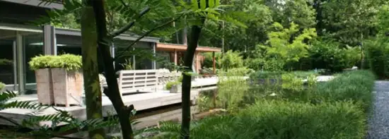 images/malherbe/moderne beplanting taxus en meerstammige struiken in vught-550x197-74c