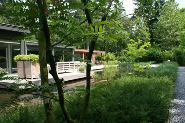images/malherbe/moderne beplanting taxus en meerstammige struiken in vught-635x424-d17